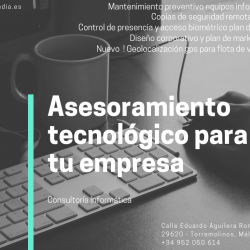 Servicios Informáticos
